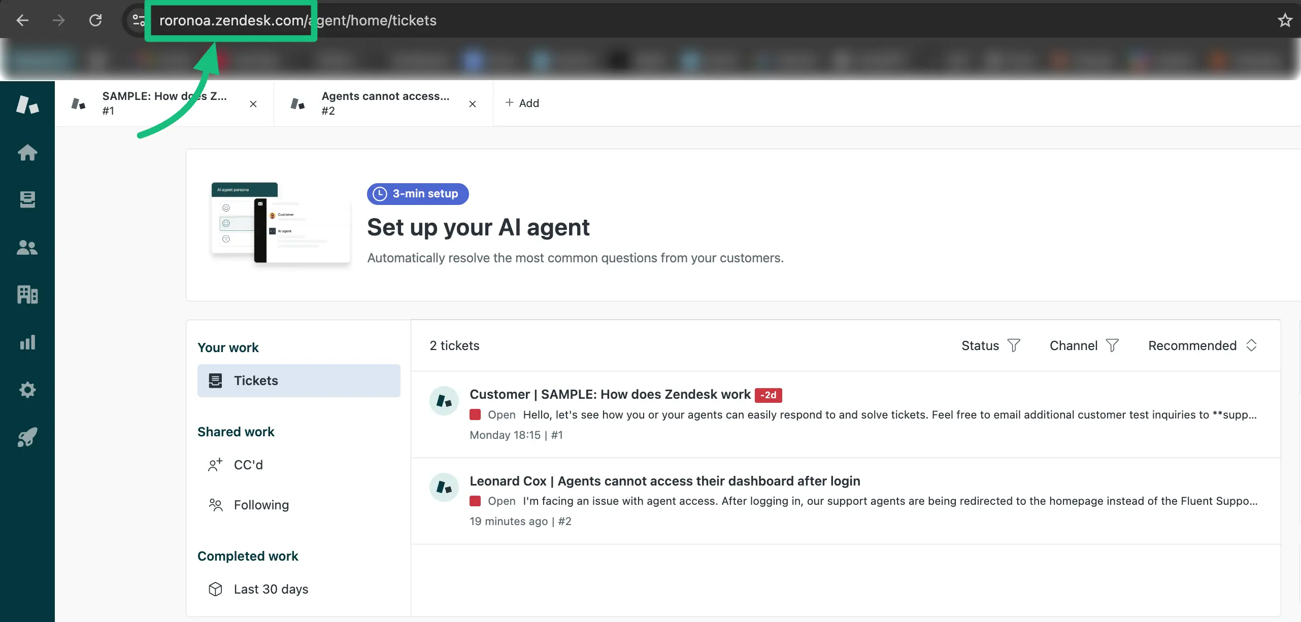 Zendesk’s Domain URL